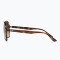 Sunglasses Ray-Ban RB4376 havana/brown gradient 6