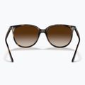 Sunglasses Ray-Ban RB4378 havana/brown gradient 3