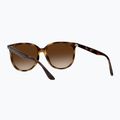 Sunglasses Ray-Ban RB4378 havana/brown gradient 4