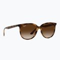 Sunglasses Ray-Ban RB4378 havana/brown gradient 5