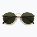 Sunglasses Ray-Ban New Round gold/green 3