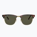 Sunglasses Ray-Ban Clubmaster Classic tortoiseshell/gold/green g-15 2