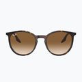 Sunglasses Ray-Ban RB2204 havana/light brown 2