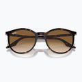 Sunglasses Ray-Ban RB2204 havana/light brown 3