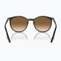 Sunglasses Ray-Ban RB2204 havana/light brown 5