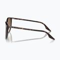 Sunglasses Ray-Ban RB2204 havana/light brown 6