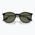 Sunglasses Ray-Ban RB2204 transparent black/green polarized 3