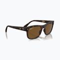 Sunglasses Ray-Ban RB4428 havana matte/brown polarized