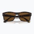 Sunglasses Ray-Ban RB4428 havana matte/brown polarized 3