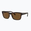 Sunglasses Ray-Ban RB4428 havana matte/brown polarized 4