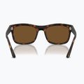 Sunglasses Ray-Ban RB4428 havana matte/brown polarized 5