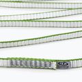 Climbing Technology Looper DY white/ green climbing loop 2