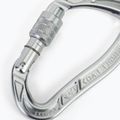 Climbing Technology Nimble Evo SG carabiner silver 2C39400XTBCTSTD 3