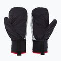 Level Ski Gloves Alper Light black 5