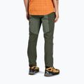 Men's Montura Mountain Trek trekking trousers verde salvia 3