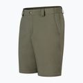 Men's trekking trousers Montura Valbruna Zip Off verde salvia 3