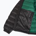 Men's jacket Blauer USA Charles black inside green 5