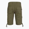 Men's shorts Aeronautica Militare BE0041UCT01122 green 2