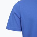 Men's T-shirt Aeronautica Militare TS1580UJ00372 sonic blue 4