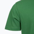 Men's T-shirt Aeronautica Militare TS1580UJ00372 verdant green 4