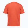 Men's T-shirt Aeronautica Militare TS2535UJ00641 paprika 2