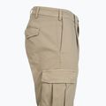 Men's trousers Aeronautica Militare PA1718UCT04331 winter twig 4
