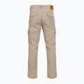 Men's trousers Aeronautica Militare PA1716UCT04301 winter twig 2