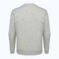Champion men's sweatshirt Rochester grey 2