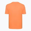 Champion Rochester men's t-shirt opff 2