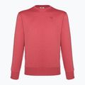 Champion Rochester men's sweatshirt dark red