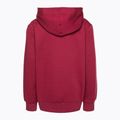 Champion Legacy children's sweatshirt bordeaux 2