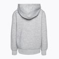 Champion Legacy grey children's sweatshirt 2