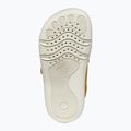 Geox Steppieup ochre yellow/navy children's barefoot shoes 6