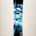 Lib Tech Skate Banana coloured snowboard 22SN026 7