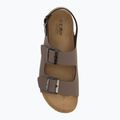 Men's CMP Eco Keidha arabica sandals 5