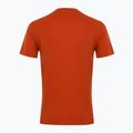 Men's EA7 Emporio Armani Visibility Cotton Crew rooibos tea T-shirt 2
