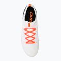Men's road shoes DMT POGI'S 5