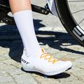 Men's road shoes DMT POGI'S 8