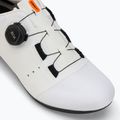 Men's road shoes DMT KR4 white 7