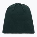 Winter hat EA7 Emporio Armani Mountain Logo Series Big Beanie silver pine 4