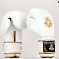 Boxing gloves DBX BUSHIDO DBD-B-2 white 17