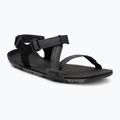 Men's barefoot sandals Xero Shoes Z-Trail EV multi / black