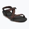 Men's barefoot sandals Xero Shoes Z-Trail EV multi / brown 8
