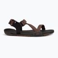 Men's barefoot sandals Xero Shoes Z-Trail EV multi / brown 9