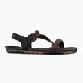 Men's barefoot sandals Xero Shoes Z-Trail EV multi / brown 2
