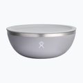 Hydro Flask 1 Qt Bowl birch travel bowl 2