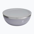 Hydro Flask 1 Qt Bowl birch travel bowl 4