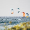 Cabrinha Contra kite kitesurfing yellow K2KOCTR3S017002 5