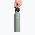 Hydro Flask Standard Flex Cap thermal bottle 710 ml agave 2