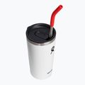 Hydro Flask Stainless Steel Straws 2 pcs goji 6